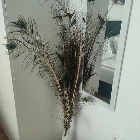 Apartament Allure Varna Sweti Konstantin i Sweta Elena