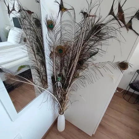 Allure Varna Apartament