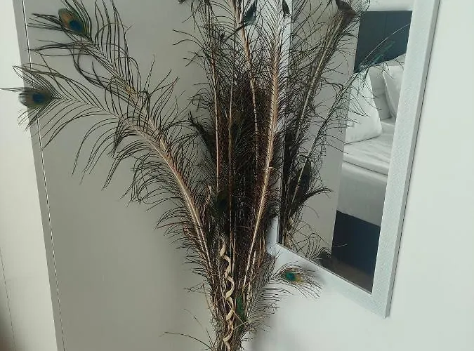 Apartamento Allure Varna Saints Constantine and Helena