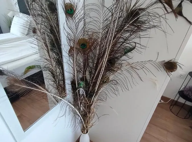 Allure Varna Apartamento