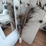 Allure Varna Appartamento