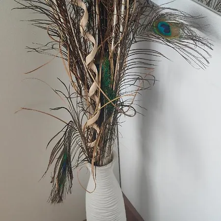 Allure Varna Lejlighed Sankt Konstantin & Helena